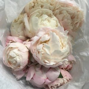 Meet your Posher, Sandra